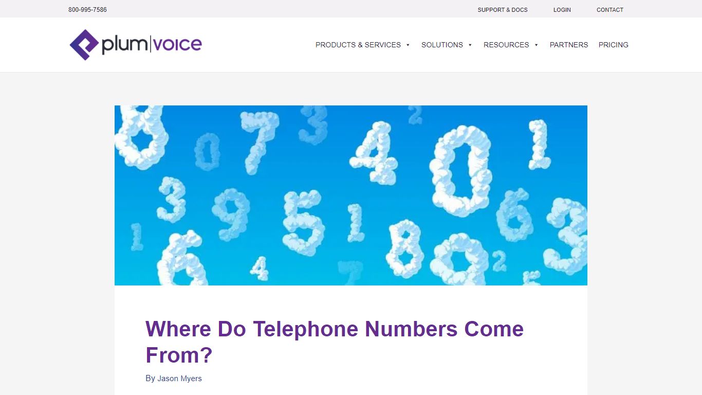 Where Do Telephone Numbers Come From? | Plum Voice